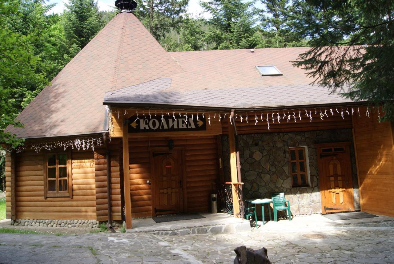 Hotel Dykyi Med Татарив Екстериор снимка