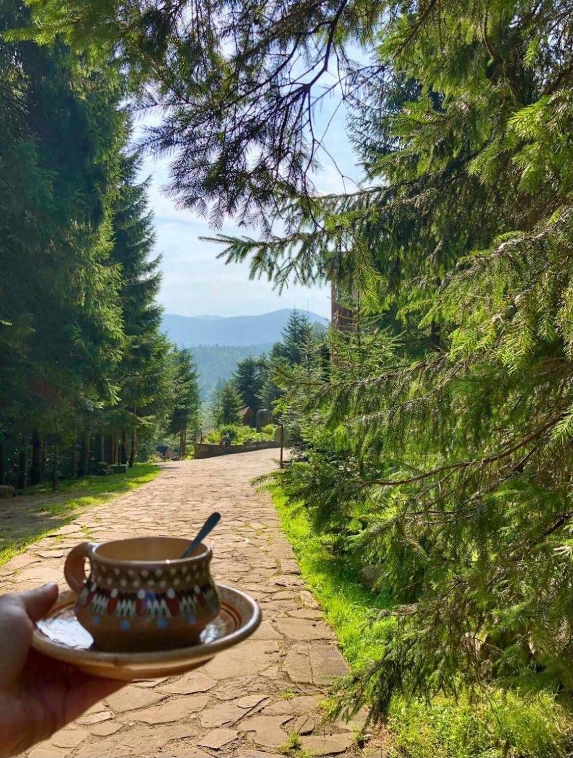 Hotel Dykyi Med Татарив Екстериор снимка